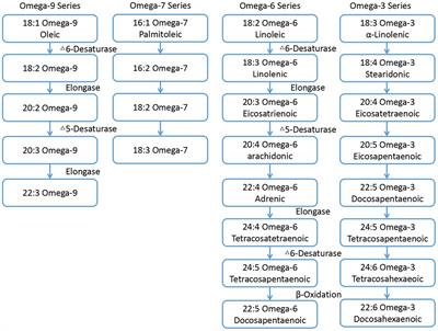 Frontiers Regulation of semen quality by fatty acids in diets